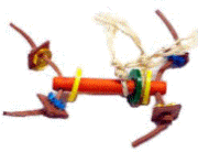 Loony Foot Toy by Fun Max