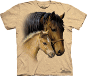 Gentle Touch Horses