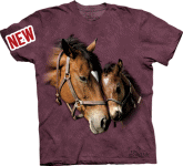 Two Hearts Horses