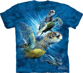 Find 9 Sea Turtles