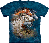 Find 13 Horses