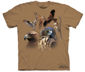 Birds of Prey