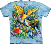 Birds in the Tropics