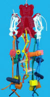 Teddy Bear - acrylic or wooden - 2 sizes
