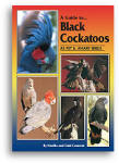 A Guide to Black Cockatoos