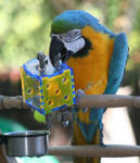 Treasure Box