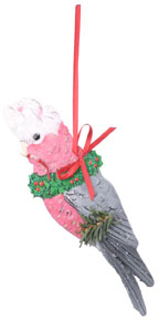 Rosebreasted (Galah) Cockatoo