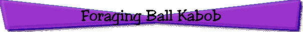 Foraging Ball Kabob
