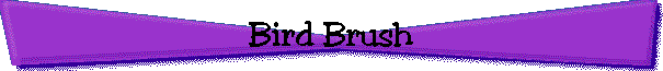 Bird Brush