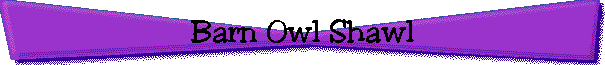 Barn Owl Shawl