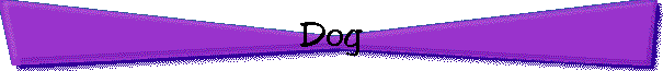 Dog