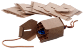 Seek n Find Foraging Boxes (2 sizes)
