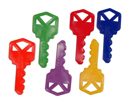 Plastic Keys (6)