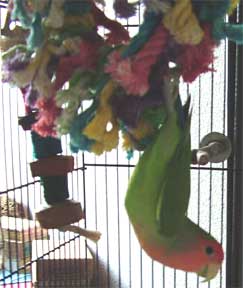 colorful cotton wreath