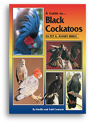 Black Cockatoos by Neville & Enid Connors