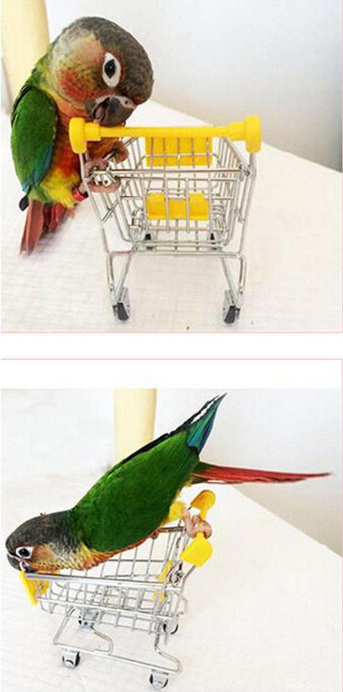 Parrot Shopping Cart